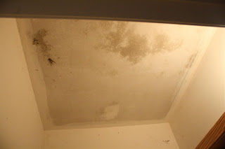 Sheetrock ceiling after popcorn/texture removal