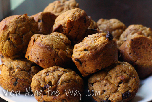 Pumpkin chocolate chip muffins