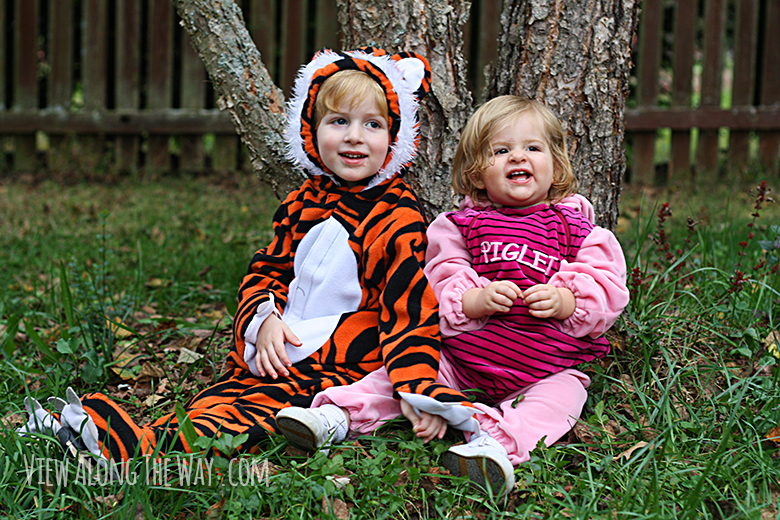 Tigger and piglet costumes