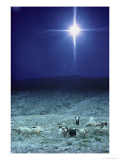 131218~Shepherds-Watch-Their-Flocks-Under-the-Light-from-a-Distant-Star-near-Bethlehem-Israel-Posters