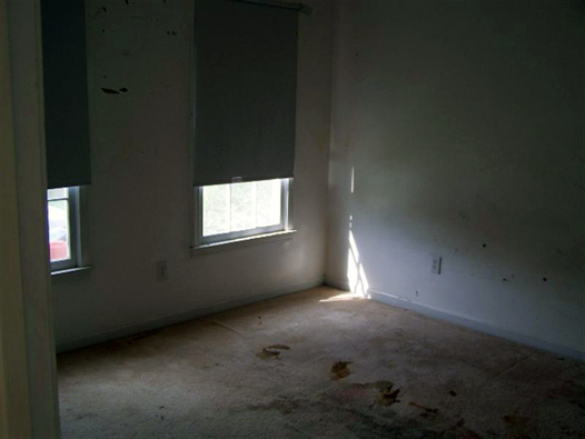 Foreclosure room with feces in carpet