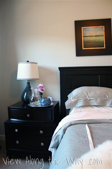 Soft Blue-Green Bedroom with Black Furniture
