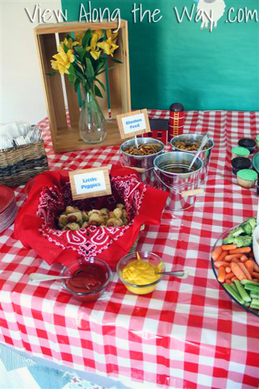 Barnyard/Farm Theme First Birthday Party Food Table Ideas: Decoration Inspiration