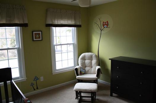 Tan Glider and Owl Tree Mural in Green Baby Boy Nursery