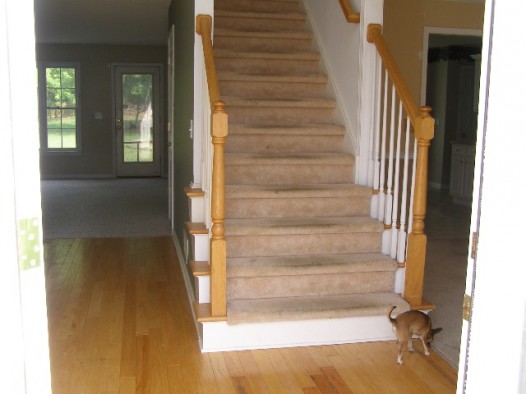 Foyer entryway with blonde light wood hardwood floors, tan carpet