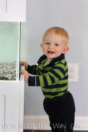 Toddler boy looking at fish in aquarium