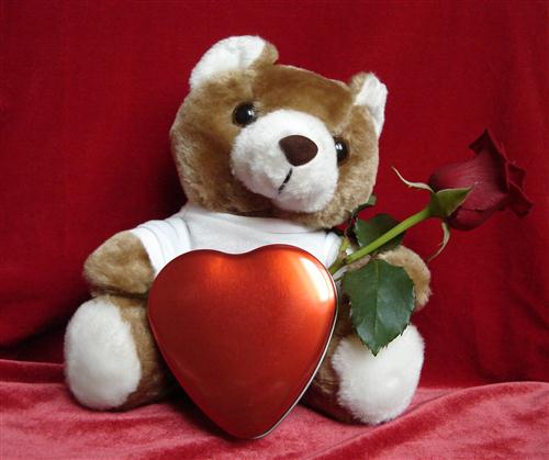 teddy bear holding heart