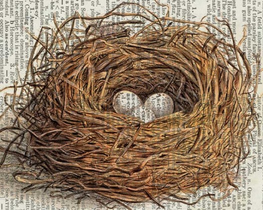 birds nest artwork, bird art