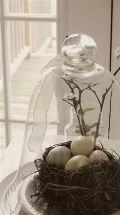 birds nest in a cloche, decorating with cloche, birds nest decor