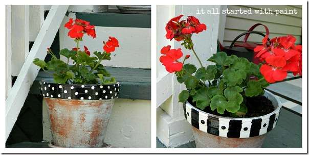 black_white_painted_pots_red_geraniums_collage