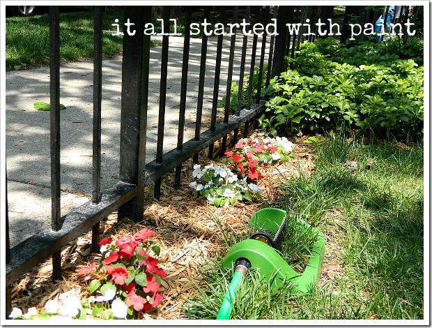 sprinkler in flowerbed, garden