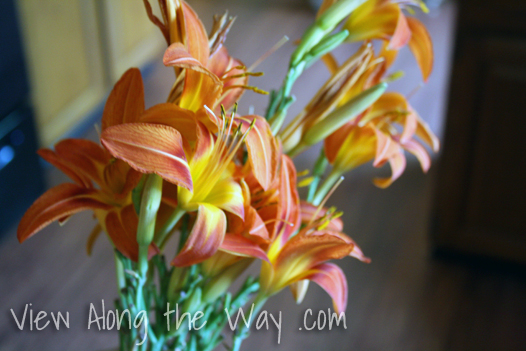 Wild orange lilies 