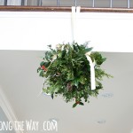 Make Your Own Kissing Ball with Fresh Greenery for the Holidays