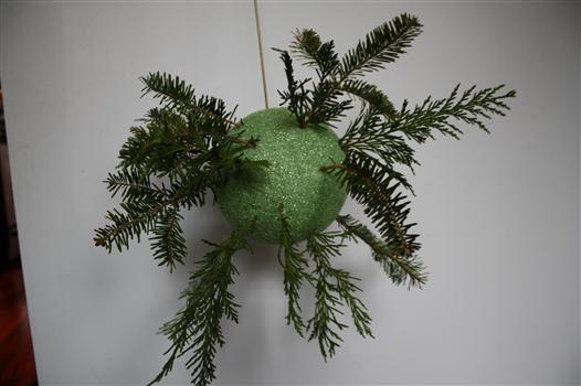 How to make a DIY kissing ball using fresh greenery