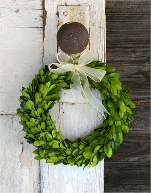 preserved boxwood wreath