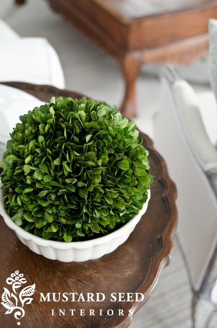 preserved boxwood ball