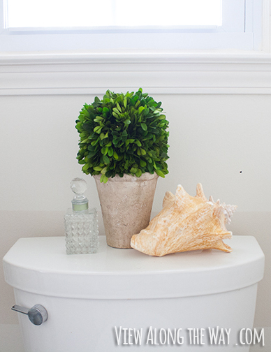 preserved boxwood vignette