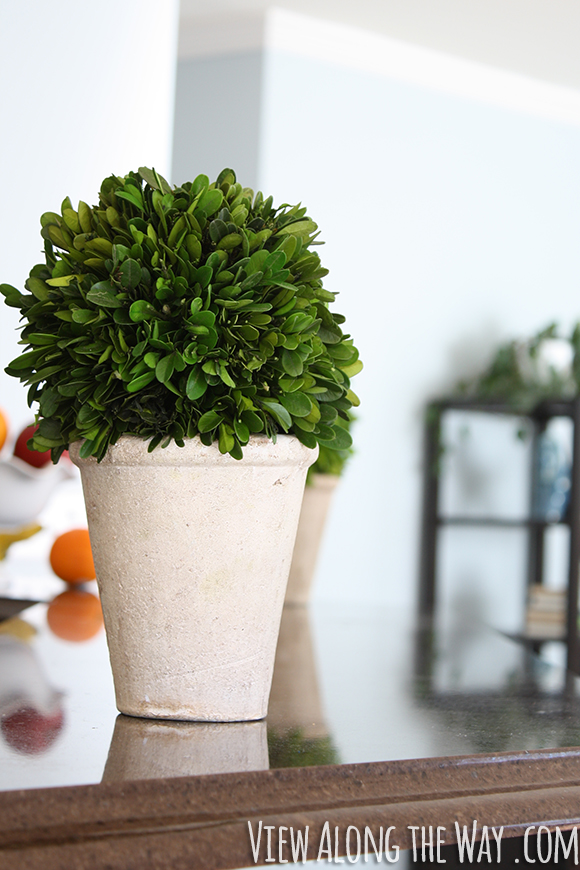 Preserved Boxwood Potted Ball (and other preserved boxwood inspiration!)