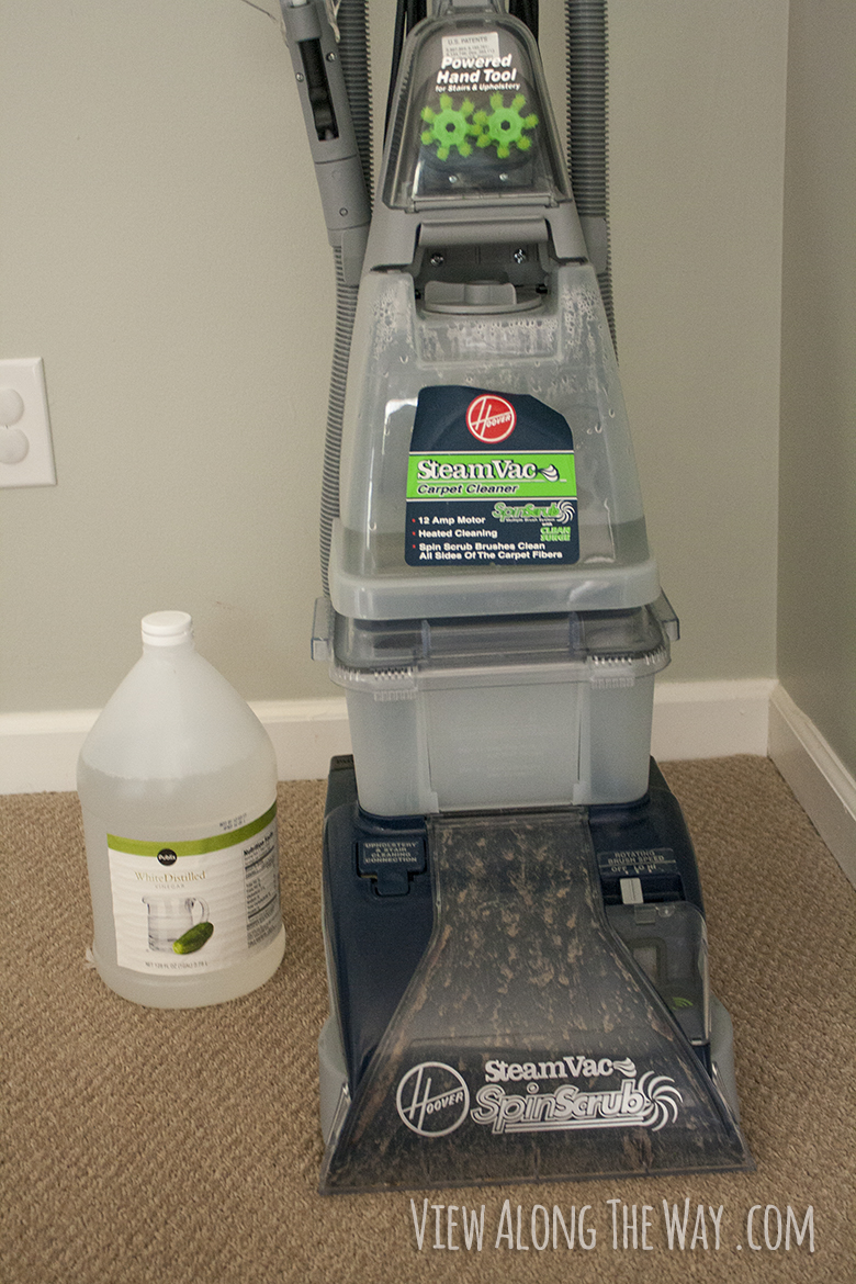 All Natural Carpet Cleaning Solution Recipe