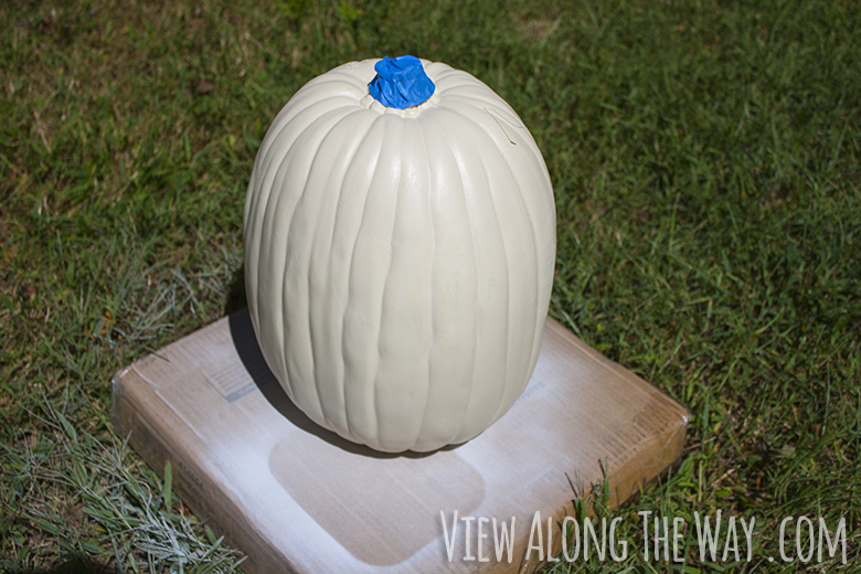 Spray paint primer onto craft pumpkins