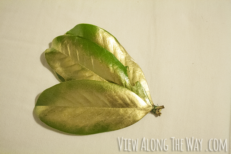 Gold magnolia leaves