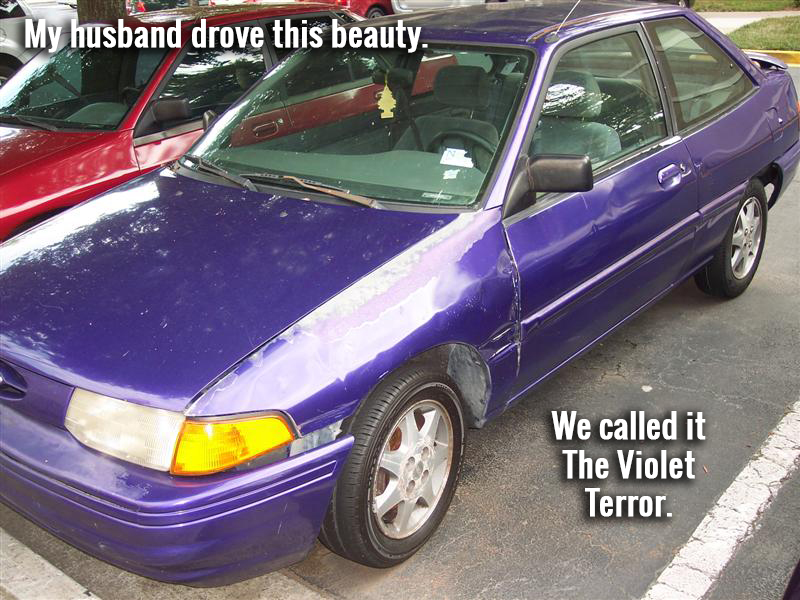 Violet Terror (Medium)