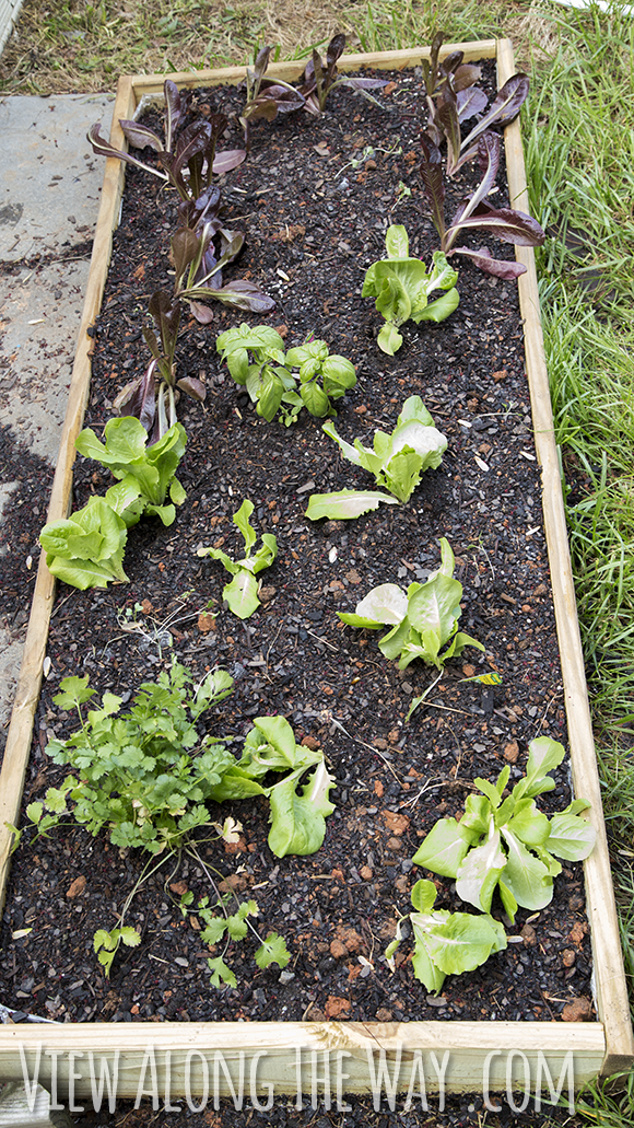 Easy raised garden bed