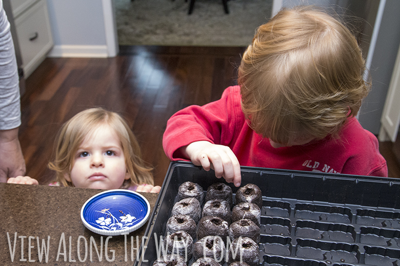 Kids making seedlings