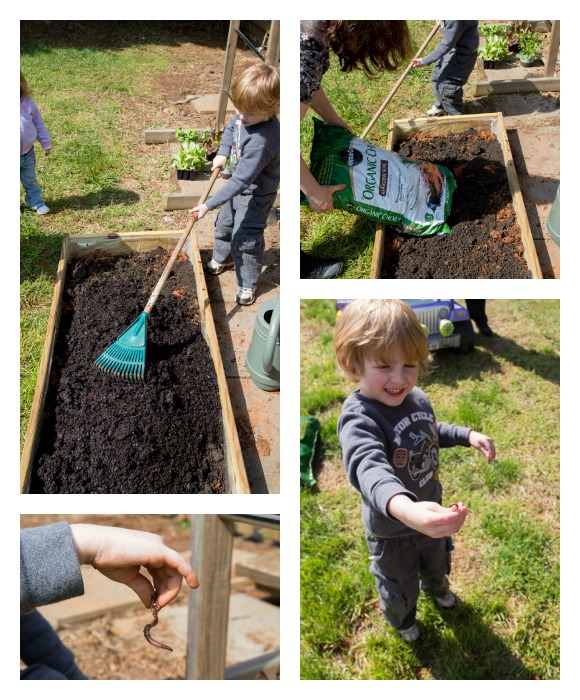 Filling a vegetable garden bed