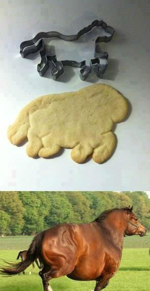 nailed it horse