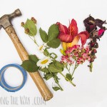 Materials for DIY crushed flower art
