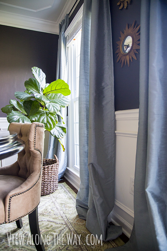 How to keep a fiddle leaf fig alive!